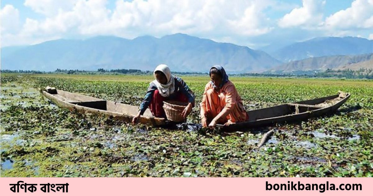 কাশ্মীরের একটি ‘বাংলাদেশ’